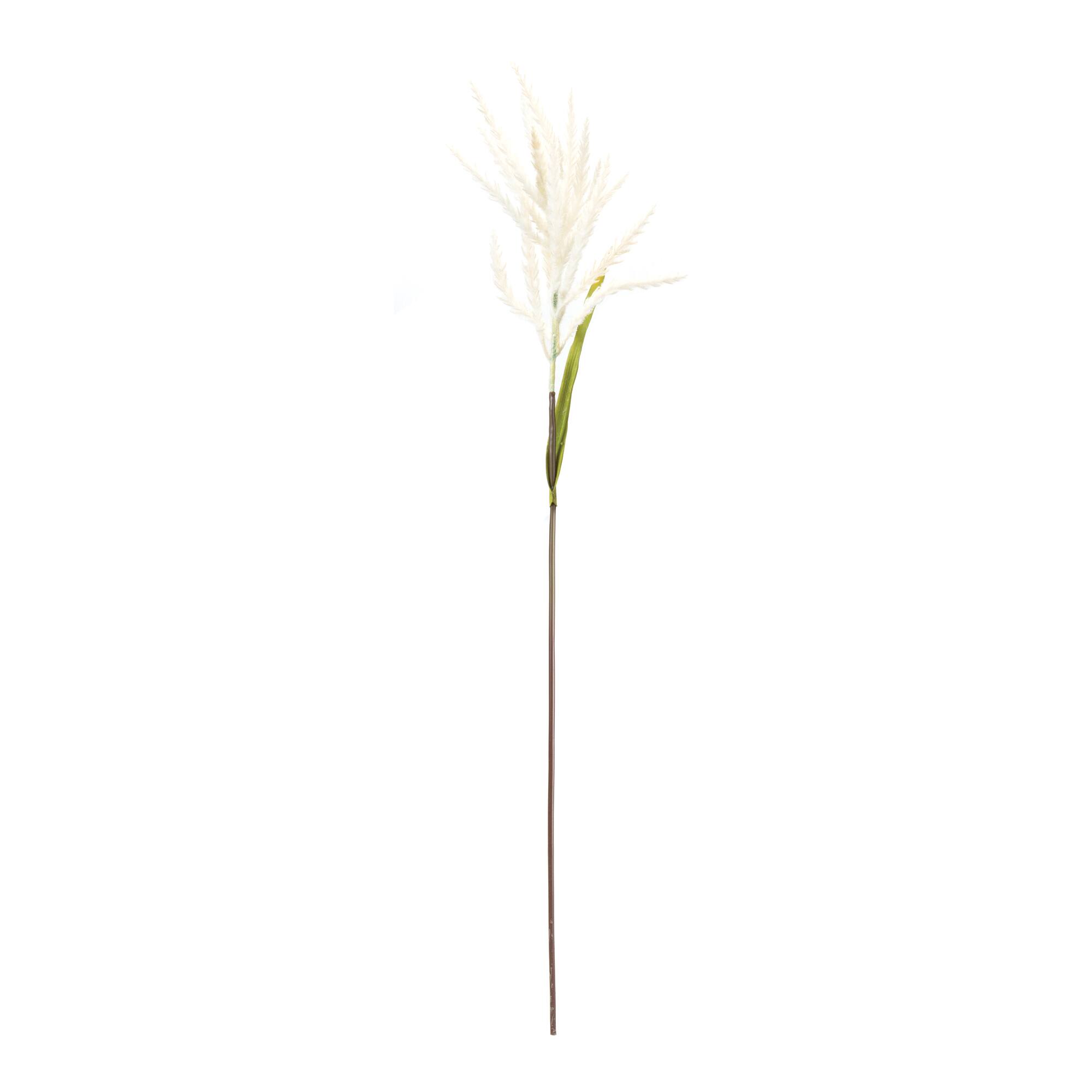 34" White Astilbe Stems, 6ct.